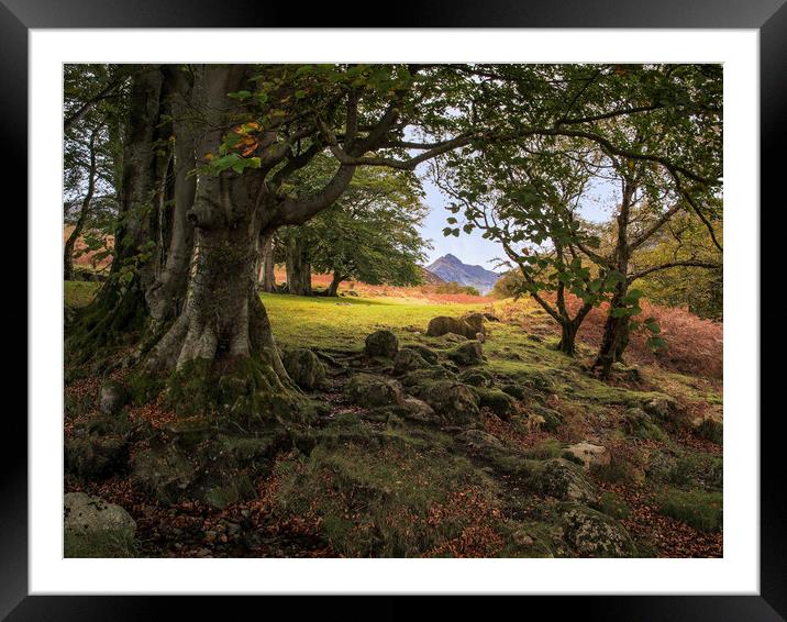 Autumn Colours in Glen Sannox Framed Mounted Print by David Brookens