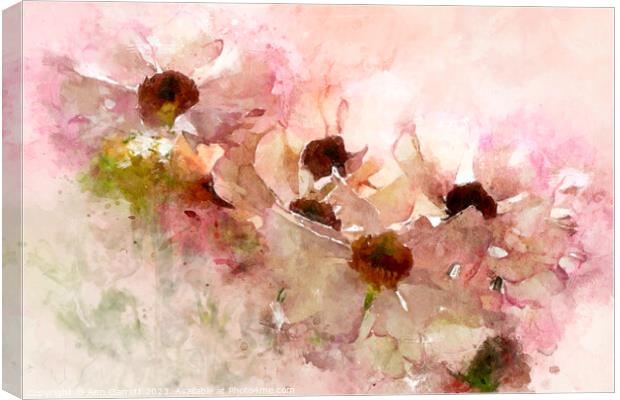 Ranunculus Watercolor Canvas Print by Ann Garrett