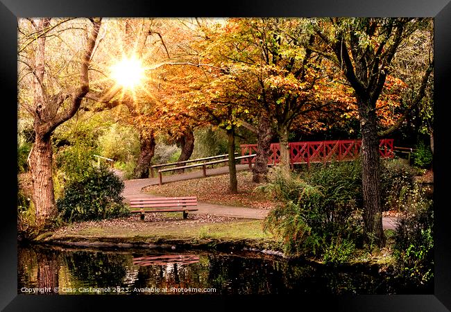 Autumn in the park - Locke Park Redcar Framed Print by Cass Castagnoli