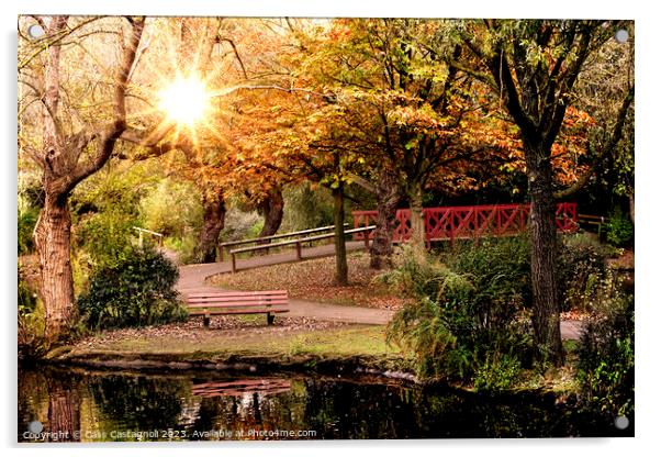 Autumn in the park - Locke Park Redcar Acrylic by Cass Castagnoli
