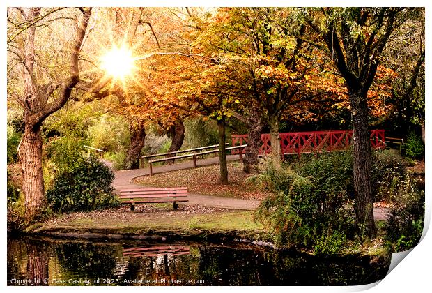 Autumn in the park - Locke Park Redcar Print by Cass Castagnoli