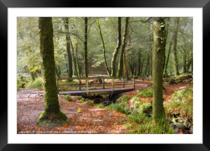 An Autumn Woodland Scene Framed Mounted Print by Andy Durnin