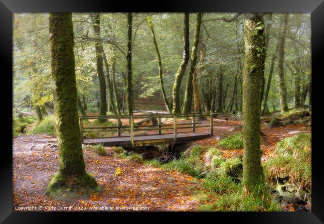 An Autumn Woodland Scene Framed Print by Andy Durnin
