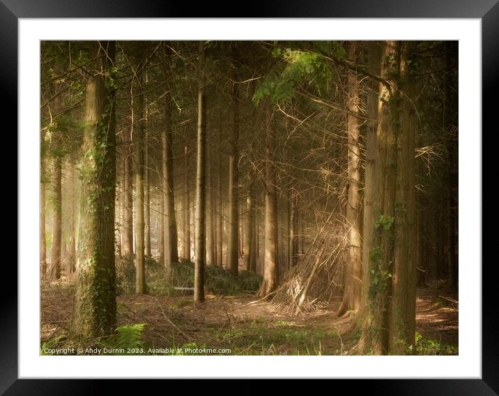 Light of the Pines Framed Mounted Print by Andy Durnin