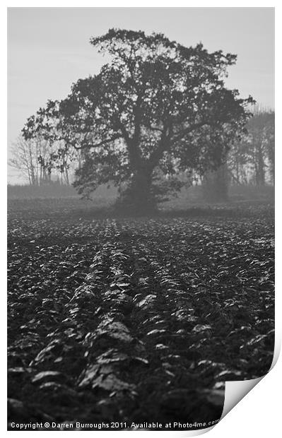 Misty Tree Print by Darren Burroughs