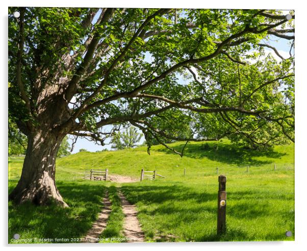 Cotswold way walk Acrylic by Martin fenton