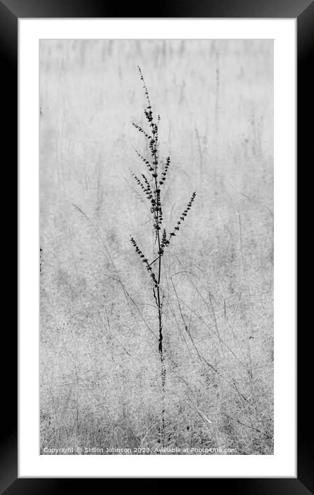 Grass Framed Mounted Print by Simon Johnson