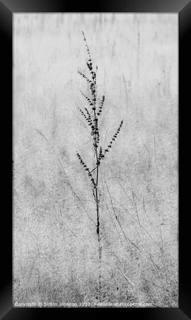 Grass Framed Print by Simon Johnson