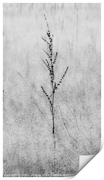 Grass Print by Simon Johnson