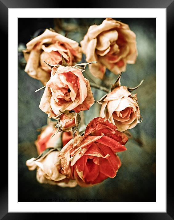 roses were red Framed Mounted Print by Jo Beerens