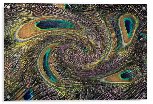 Peackock Eyes in a Twirl Abstract Acrylic by Pearl Bucknall