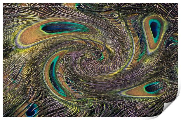 Peackock Eyes in a Twirl Abstract Print by Pearl Bucknall