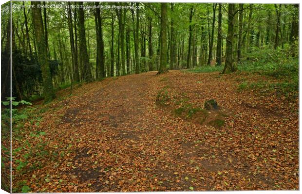 Track and Autumn Tree Leaves Fforest Fawr Cardiff October  Canvas Print by Nick Jenkins
