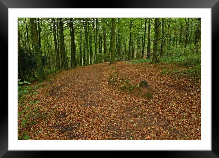 Track and Autumn Tree Leaves Fforest Fawr Cardiff October  Framed Mounted Print by Nick Jenkins
