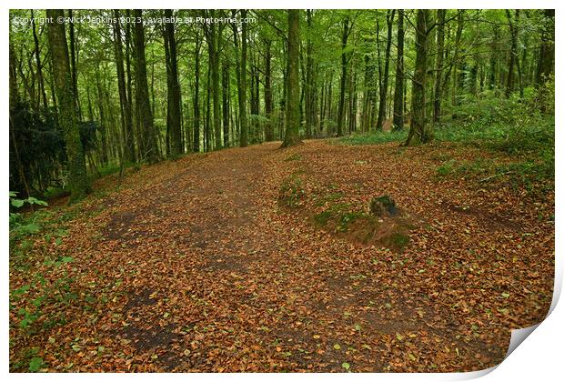 Track and Autumn Tree Leaves Fforest Fawr Cardiff October  Print by Nick Jenkins