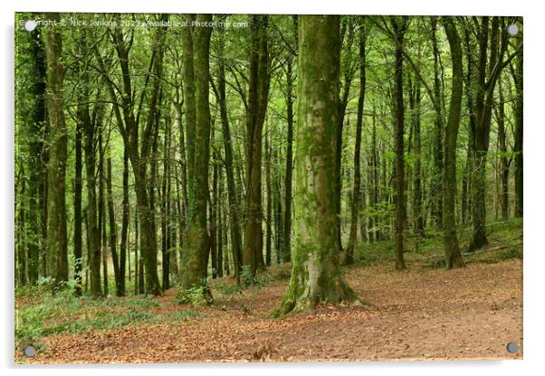 Close up View of Trees in Fforest Fawr Cardiff in October Acrylic by Nick Jenkins