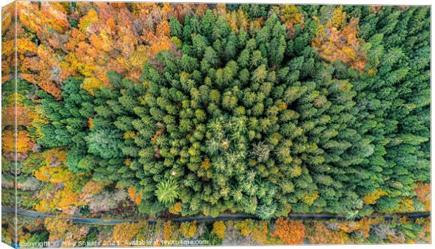 Top Down Forest Canvas Print by Mike Shields
