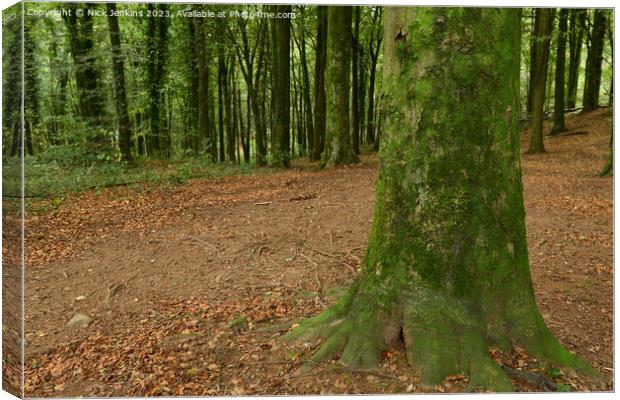 Solitary Tree with trees behind at Fforest Fawr South Wales Canvas Print by Nick Jenkins