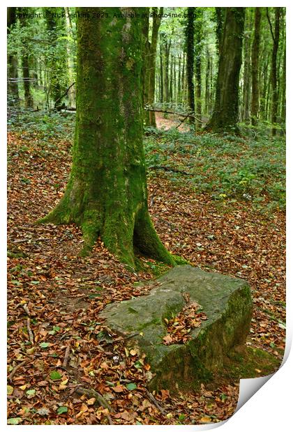 Stand Out Tree and Boulder Fforest Fawr Cardiff  Print by Nick Jenkins