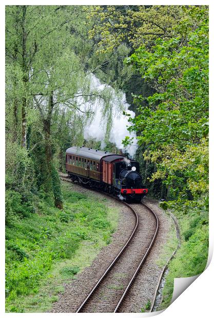 Steam train threw the woods Print by kathy white