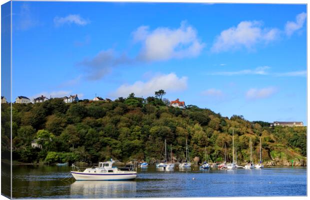 Fishguard Harbour Canvas Print by David Tinsley