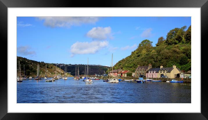 Fishguard Harbour Panorama Framed Mounted Print by David Tinsley