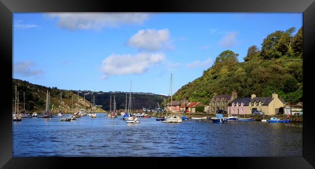 Fishguard Harbour Panorama Framed Print by David Tinsley