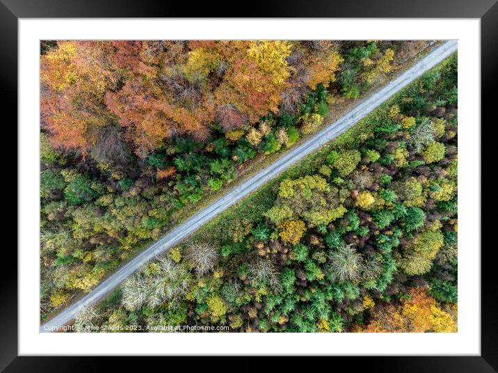 Top down Forest Road Framed Mounted Print by Mike Shields