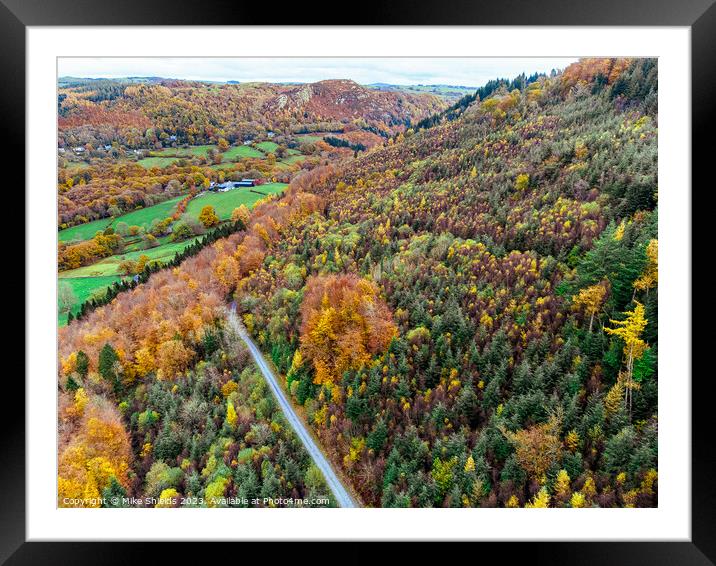 A Fall Forest Road Framed Mounted Print by Mike Shields