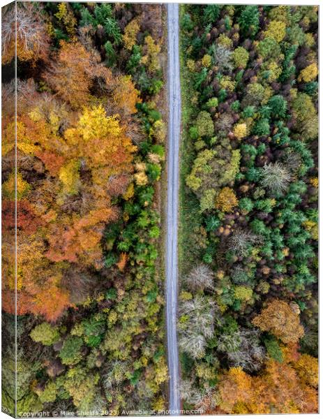 Forest Road by Drone Canvas Print by Mike Shields