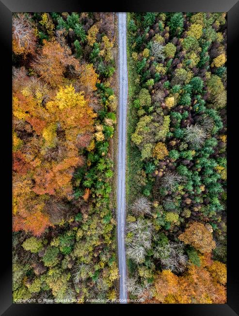 Forest Road by Drone Framed Print by Mike Shields