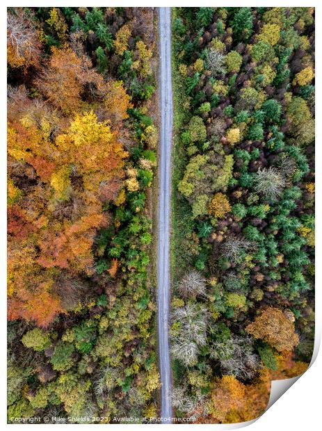 Forest Road by Drone Print by Mike Shields