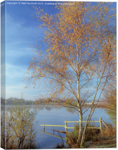 Tranquil Berkshire Countryside Lake Canvas Print by Pearl Bucknall