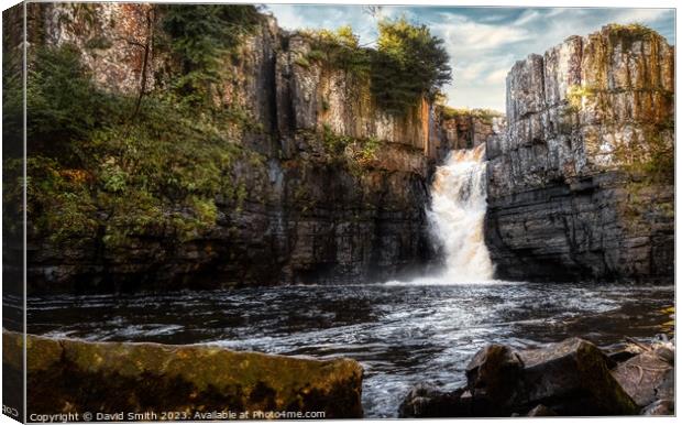 High Force waterfall Canvas Print by David Smith