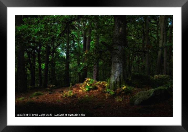 Padley Gorge Woodland Light. Framed Mounted Print by Craig Yates