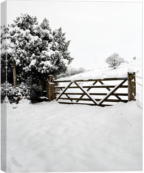 Country Gate in Winter Canvas Print by Jeni Harney