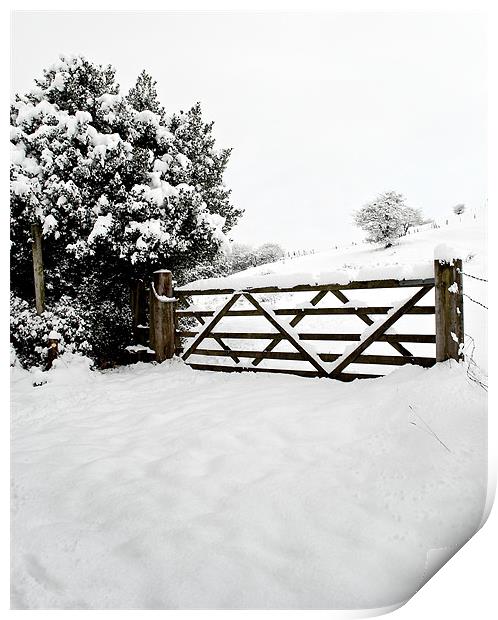 Country Gate in Winter Print by Jeni Harney