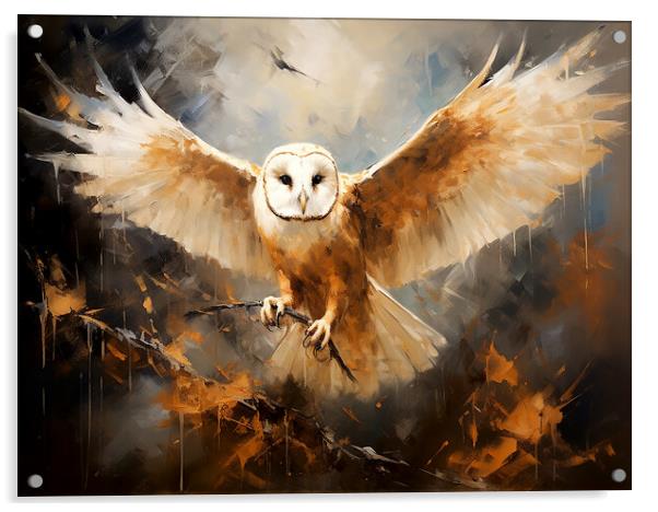 Barn Owl Acrylic by Steve Smith