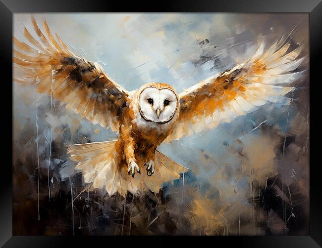 Barn Owl Framed Print by Steve Smith