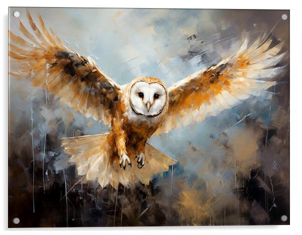 Barn Owl Acrylic by Steve Smith