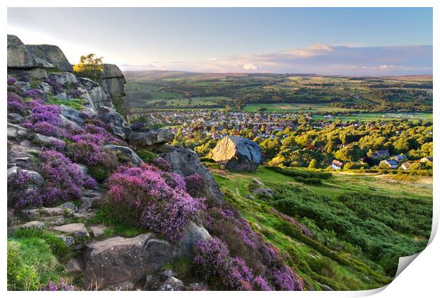 Cow and Calf Ilkley Moor Print by Alison Chambers