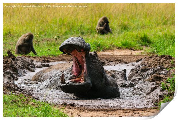 Hippo yawning Print by Howard Kennedy