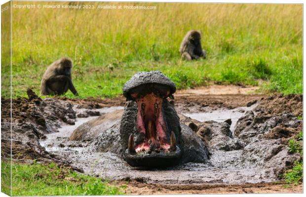 Hippo yawning Canvas Print by Howard Kennedy