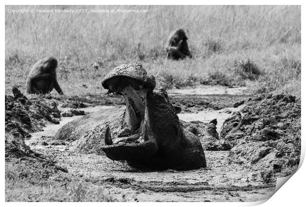 Hippo yawning in black and white Print by Howard Kennedy