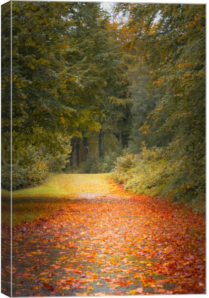 Autumn Is Coming Canvas Print by Gareth Burge Photography