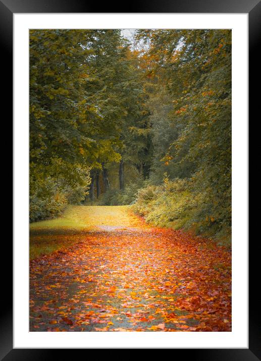 Autumn Is Coming Framed Mounted Print by Gareth Burge Photography