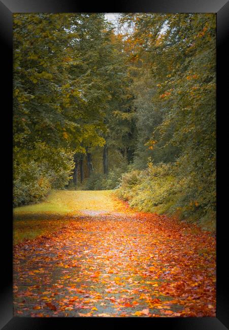 Autumn Is Coming Framed Print by Gareth Burge Photography