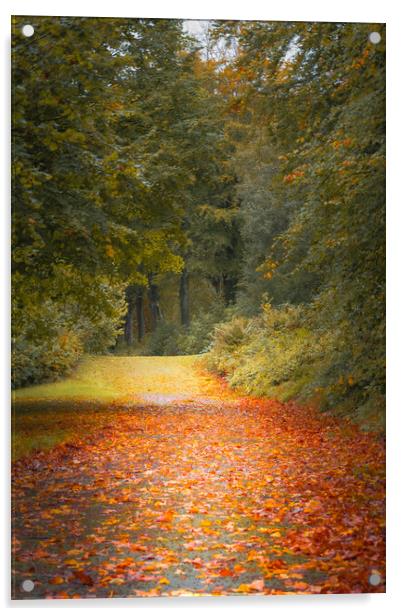 Autumn Is Coming Acrylic by Gareth Burge Photography