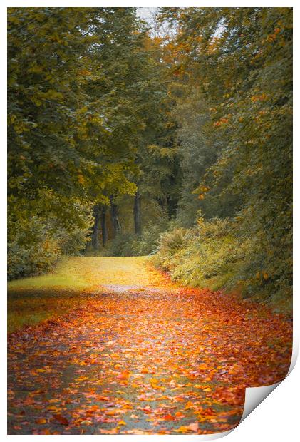 Autumn Is Coming Print by Gareth Burge Photography