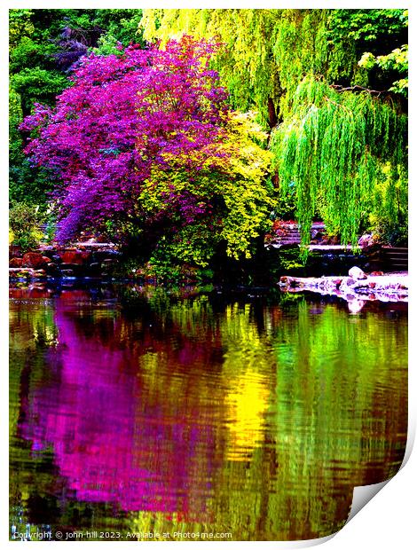 Colorful reflections of nature. Print by john hill